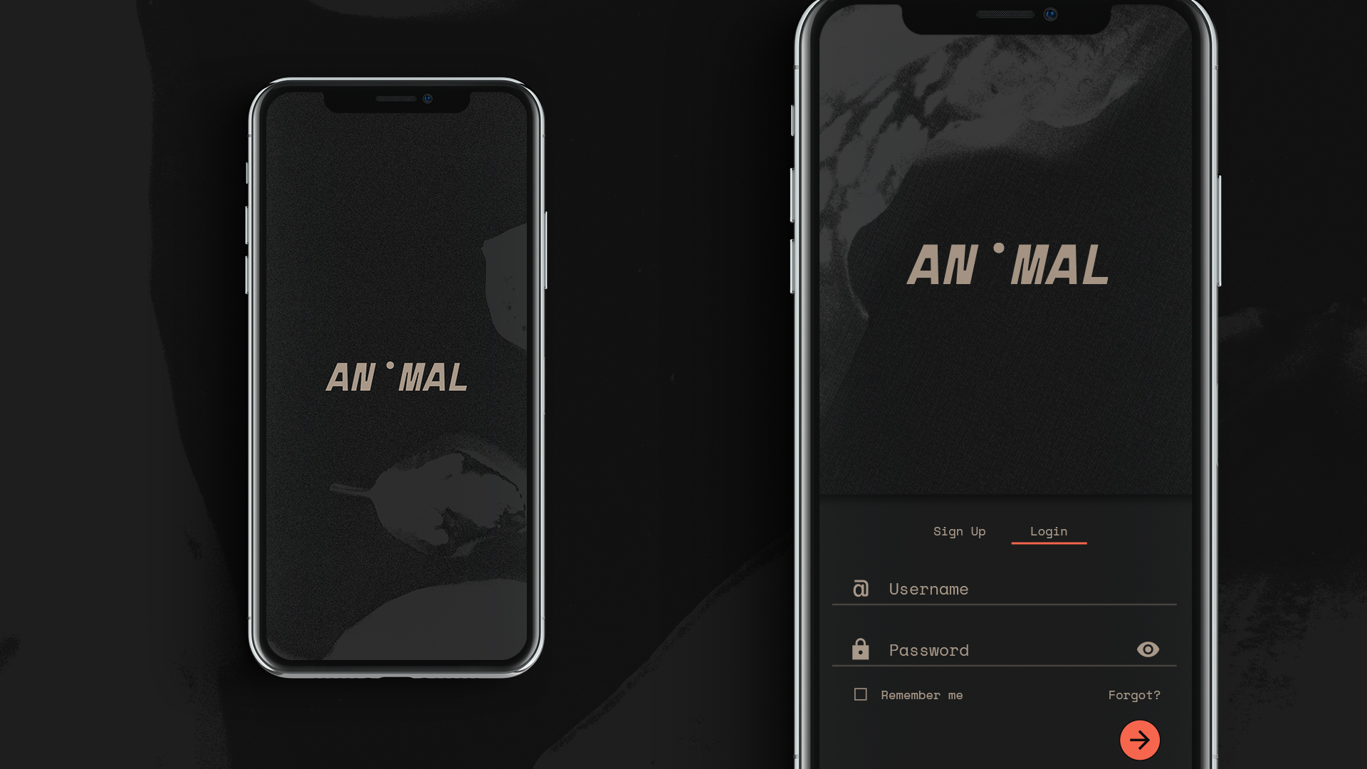 animal-hero1